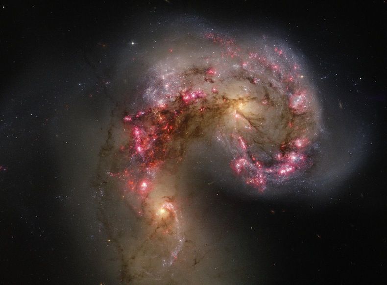 14 Aphorisms About Science | Wisdom & Philosophy