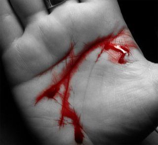 Who Really Controls the Markets? Global Power Revealed