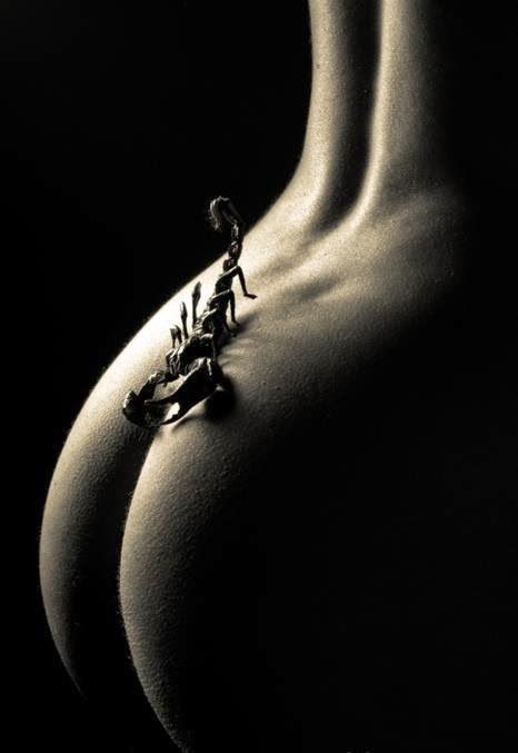 Scorpio Ascendant: Intensity, Magnetism & Transformation